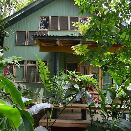 Rainforest Eco Lodge Suva Exterior photo