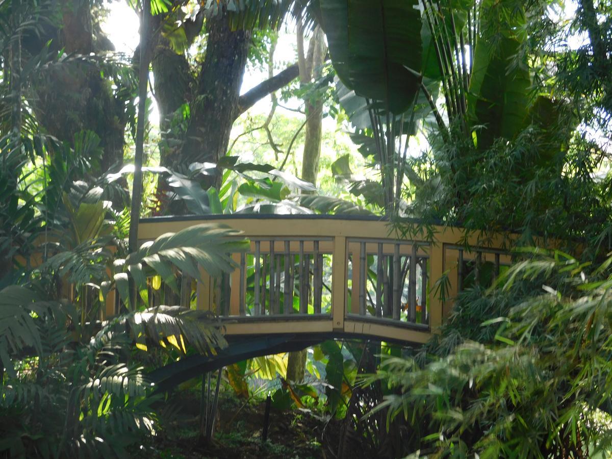 Rainforest Eco Lodge Suva Exterior photo