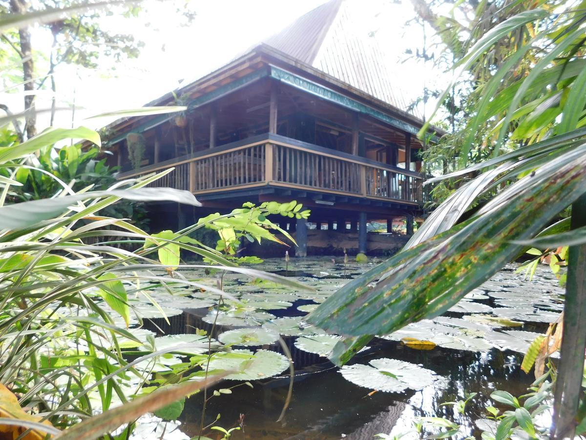 Rainforest Eco Lodge Suva Exterior photo