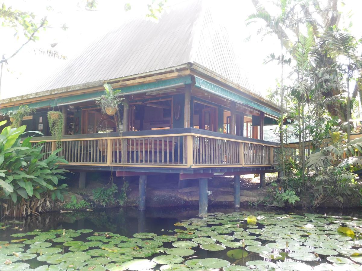 Rainforest Eco Lodge Suva Exterior photo