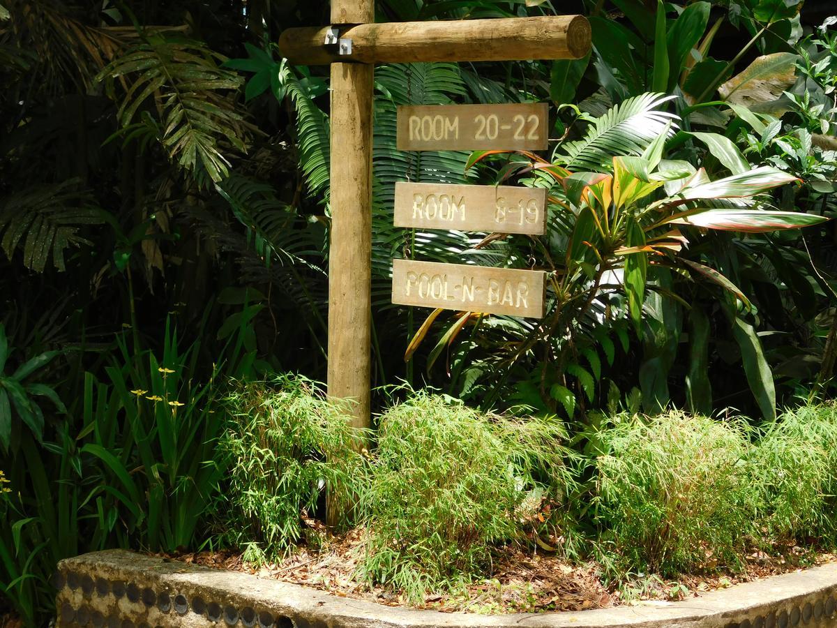 Rainforest Eco Lodge Suva Exterior photo