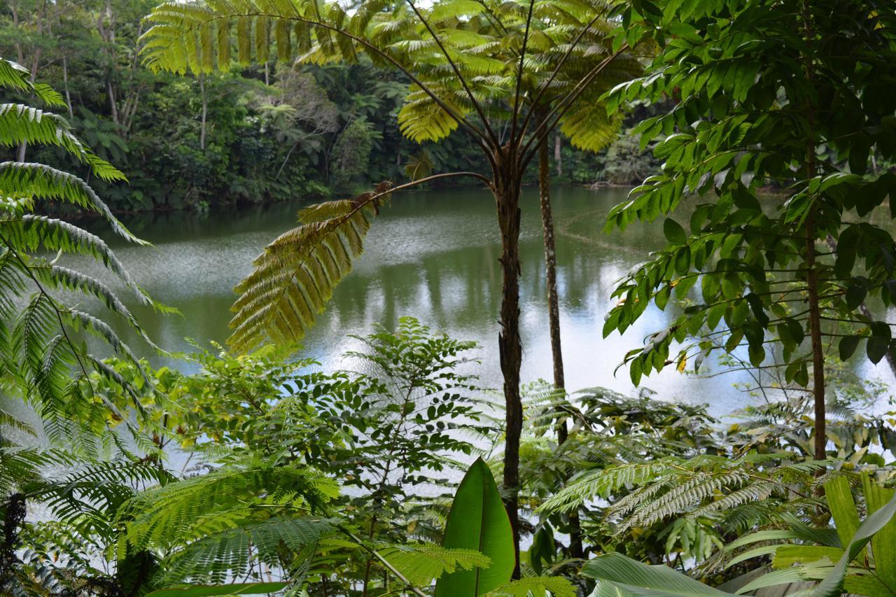 Rainforest Eco Lodge Suva Exterior photo