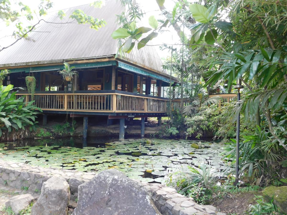 Rainforest Eco Lodge Suva Exterior photo