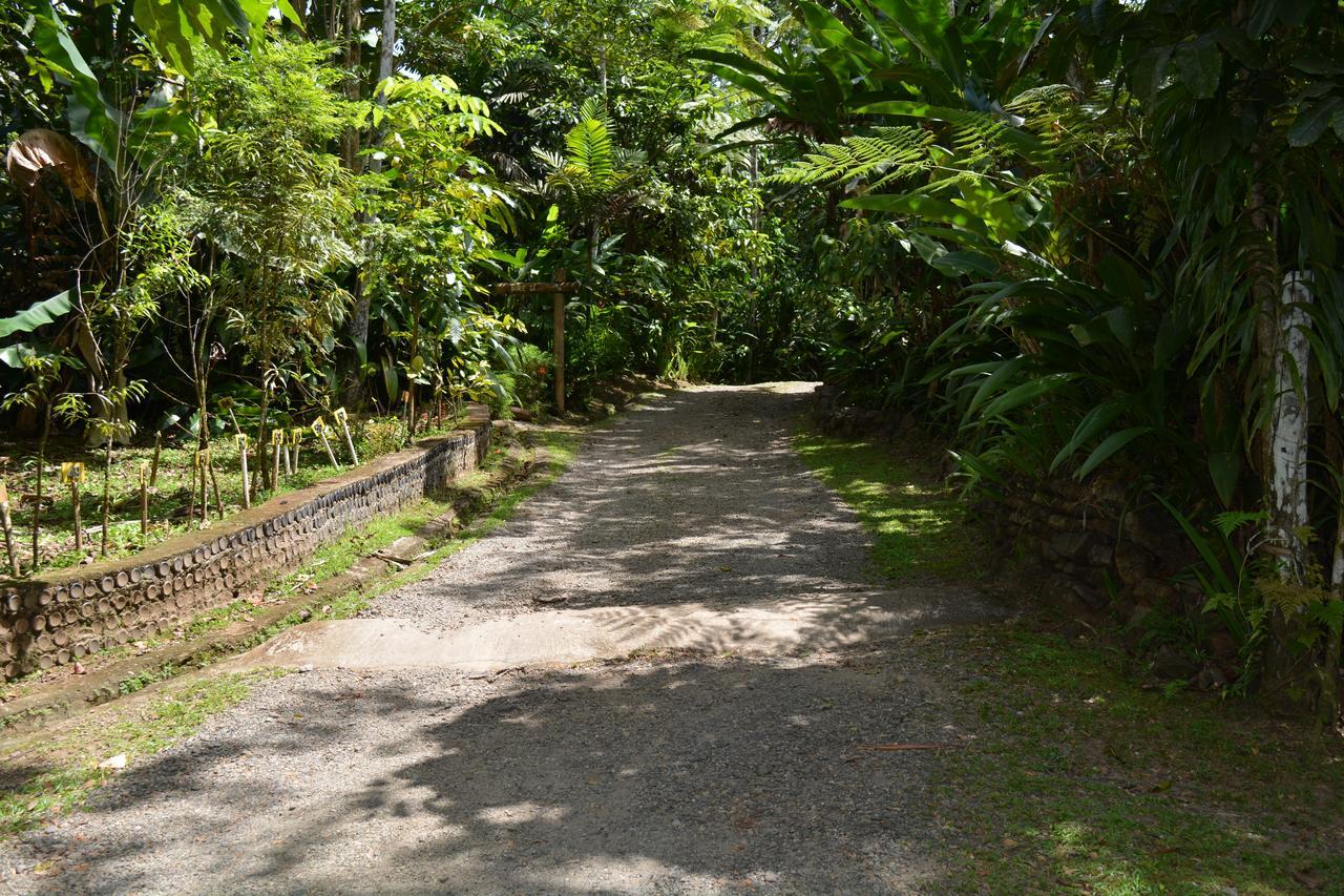 Rainforest Eco Lodge Suva Exterior photo