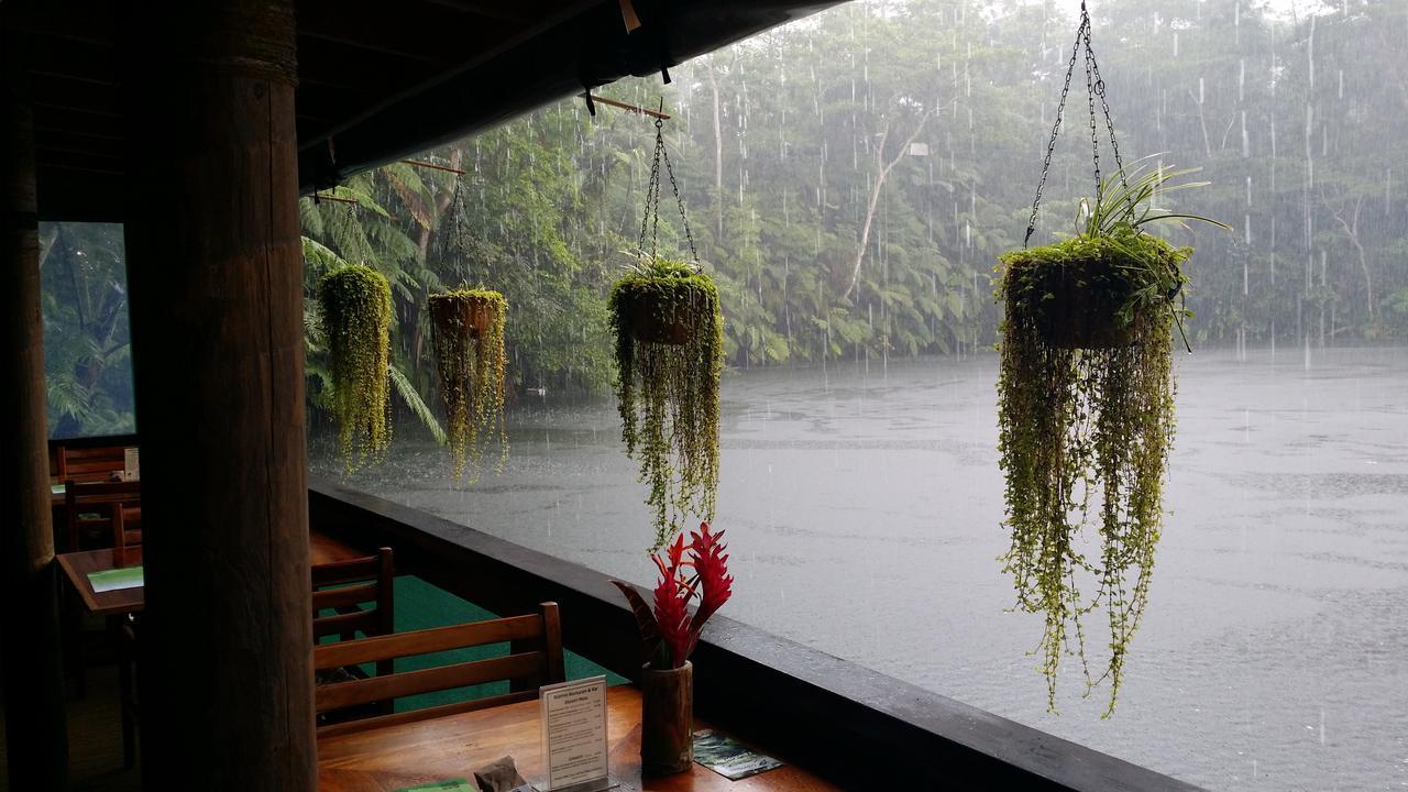 Rainforest Eco Lodge Suva Exterior photo