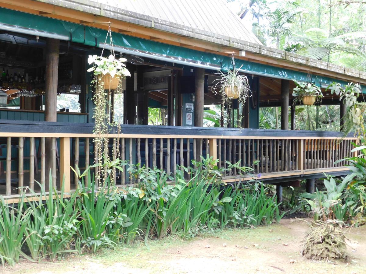 Rainforest Eco Lodge Suva Exterior photo