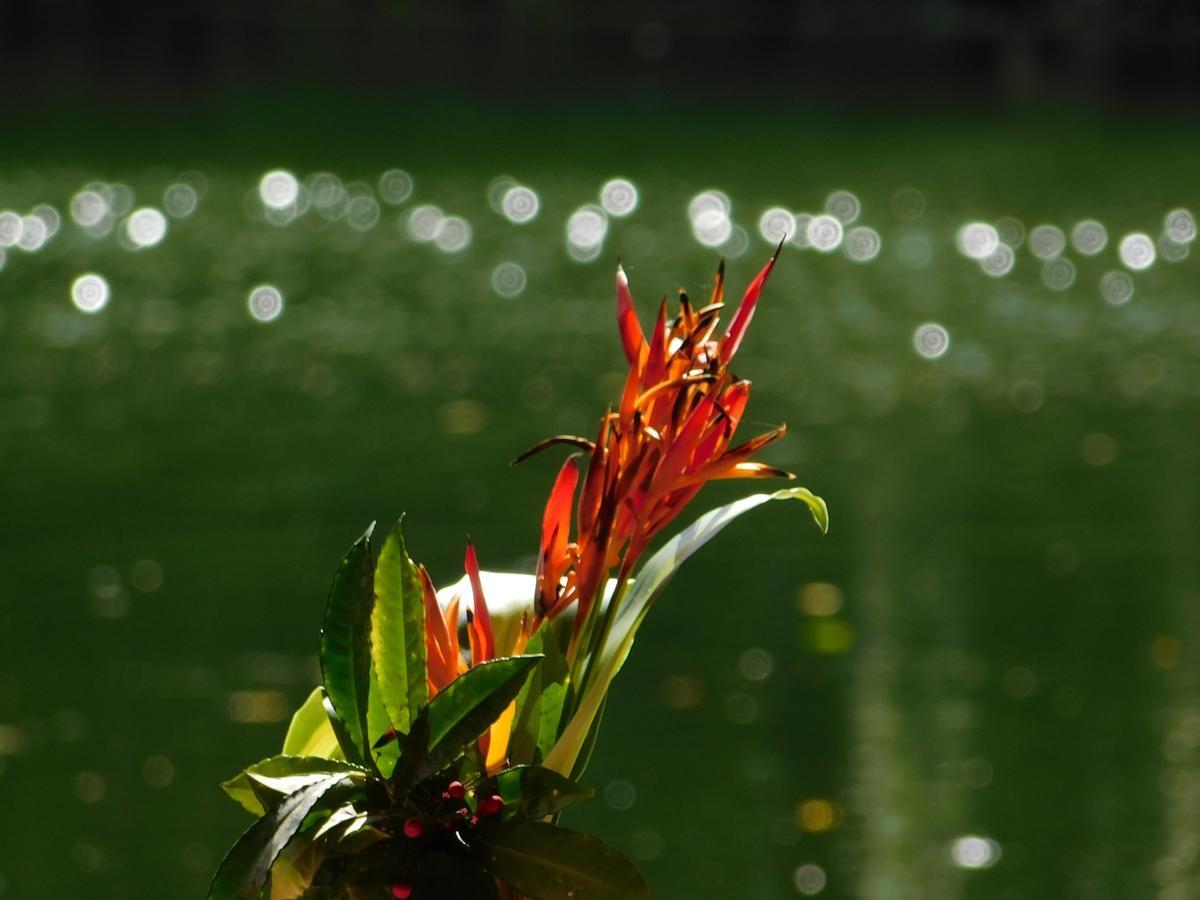 Rainforest Eco Lodge Suva Exterior photo