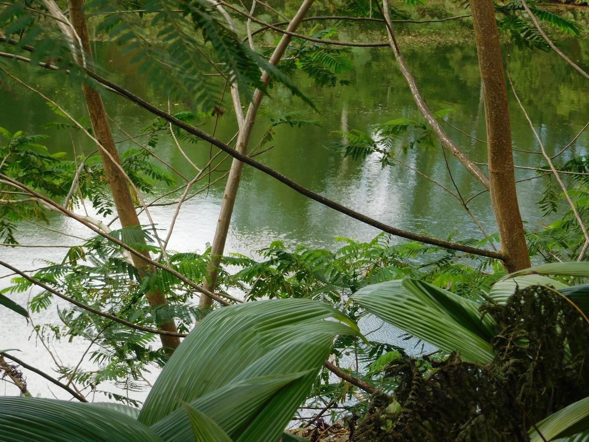 Rainforest Eco Lodge Suva Exterior photo